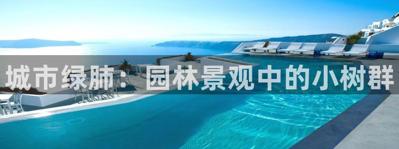 新宝gg游戏平台