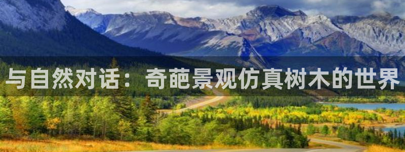 新宝GG都有哪些计划