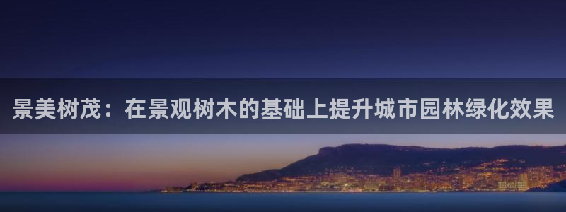 新宝gg和新宝123