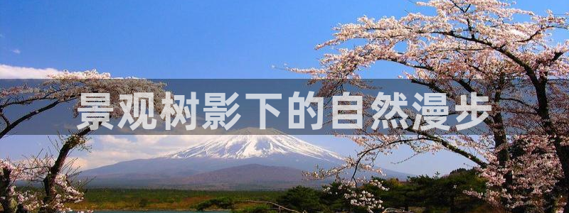 新宝gg代理条件