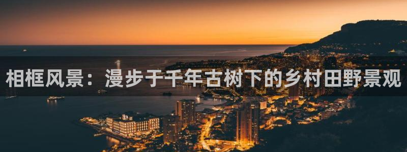 新宝gg干嘛：相框风景：漫步于千年古树下的乡村田野景观