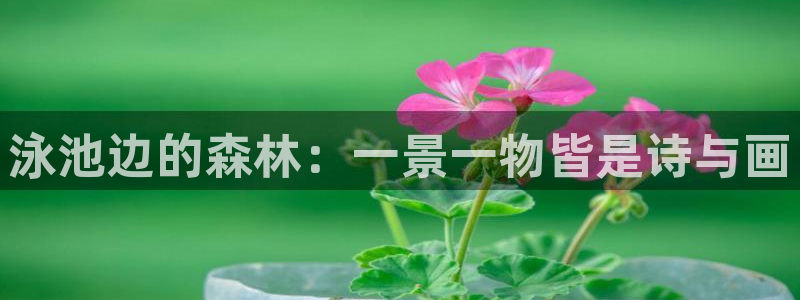 新宝gg娱乐主管q42873