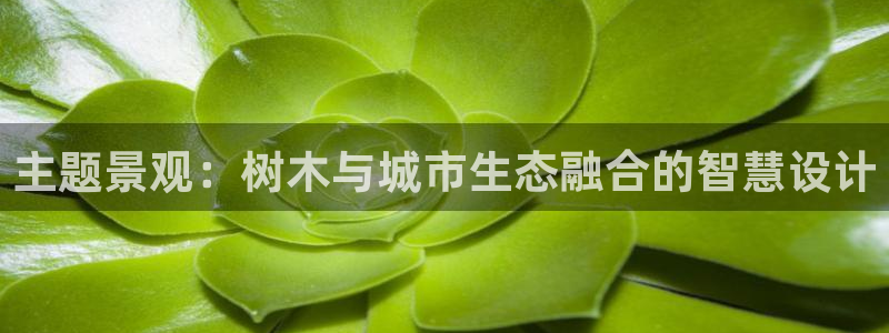新宝gg 登录页面：主题景观：树木与城市生态融合的智慧设计