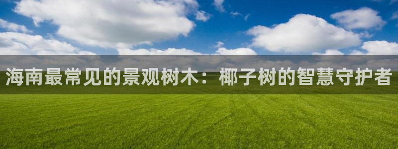 新宝gg新宝6：海南最常见的景观树木：椰子树的智慧守护者