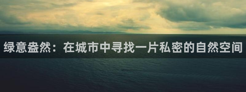新宝gg黑平台