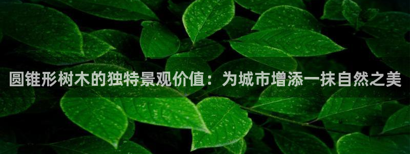 新宝GG朔78778：圆锥形树木的独特景观价值：为城市增添一抹自然之美