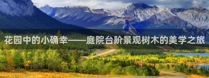 新宝gg平台连接