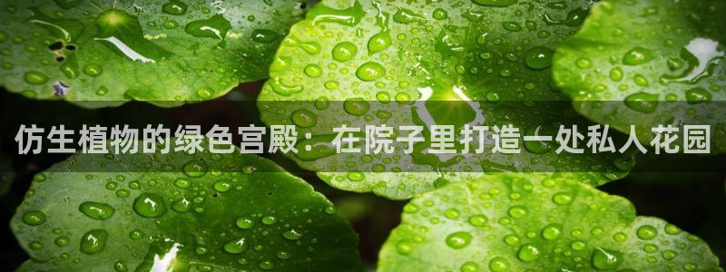 新宝gg分红：仿生植物的绿色宫殿：在院子里打造一处私人花园