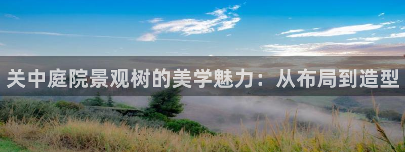 新宝gg系列