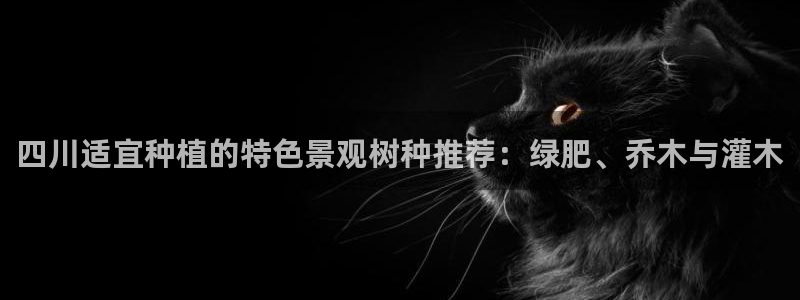 新宝gg佣金