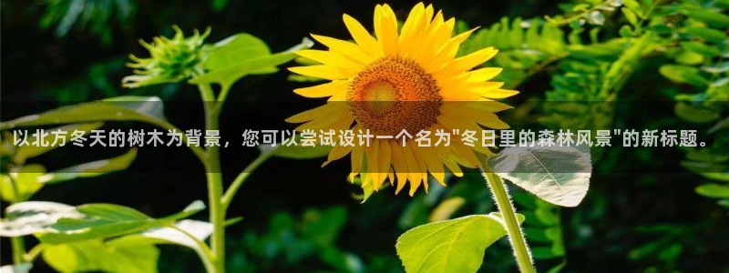 新宝gg是什么：以北方冬天的树木为背景，您可以尝试设计一个名为\