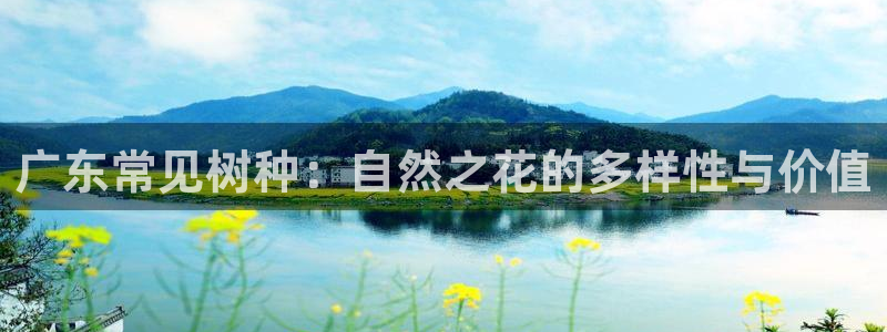 新宝gg用哪个浏览器