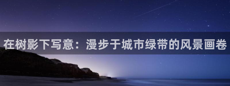 新宝gg总管