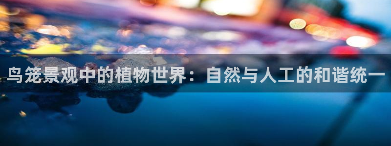 新宝gg怎样代理