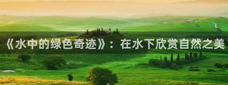 新宝gg龙虎