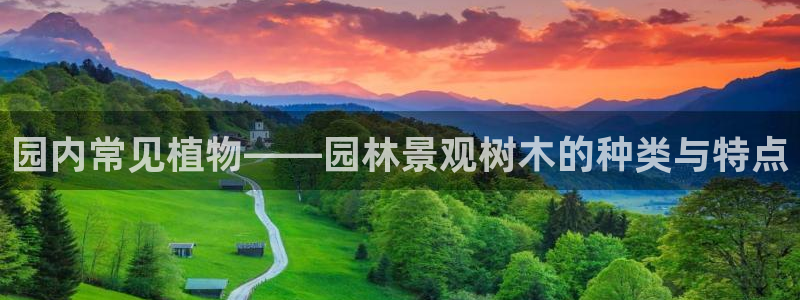 新宝gg   创造