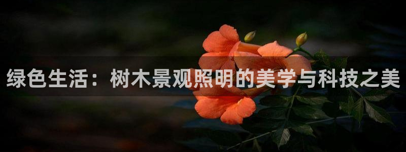 新宝gg游戏登录：绿色生活：树木景观照明的美学与科技之美