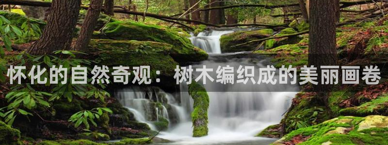 新宝gg玩：怀化的自然奇观：树木编织成的美丽画卷
