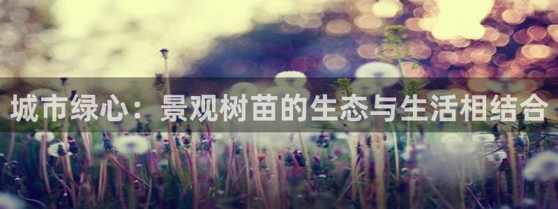 新宝gg是在境外吗