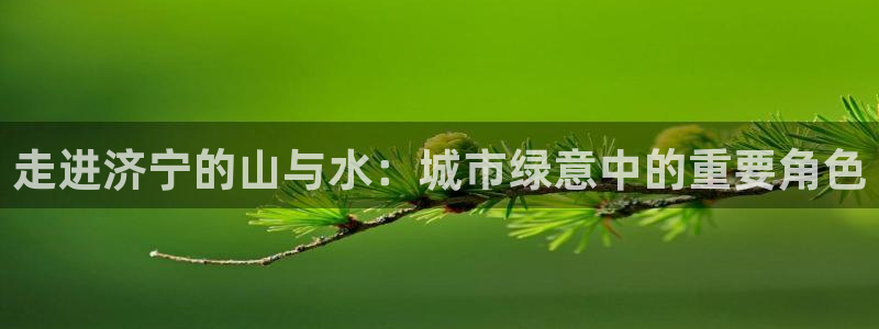 新宝gg申请账号