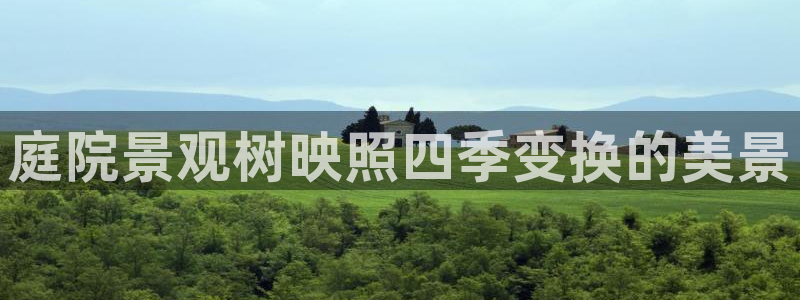 怎么代理新宝gg