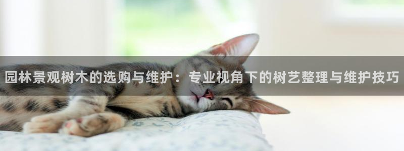 新宝gg待遇：园林景观树木的选购与维护：专业视角下的树艺整理与维护技巧