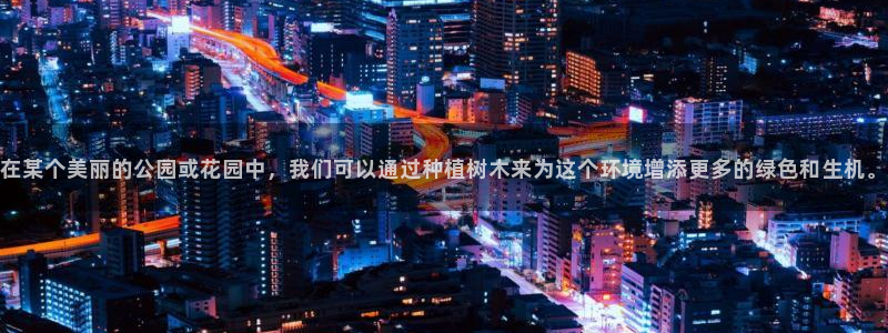 新宝gg娱乐盟主