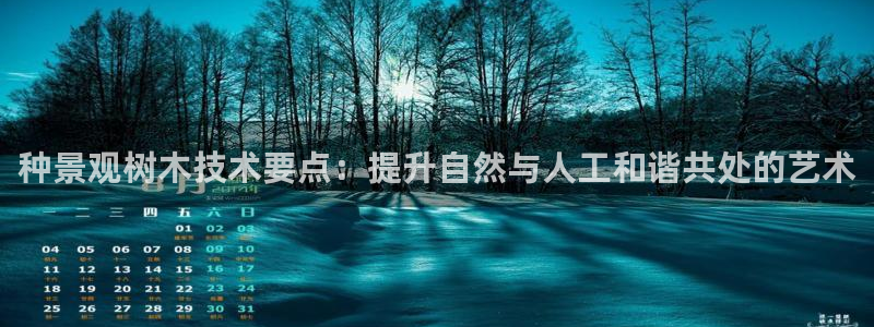 新宝gg建立团队：种景观树木技术要点：提升自然与人工和谐共处的艺术
