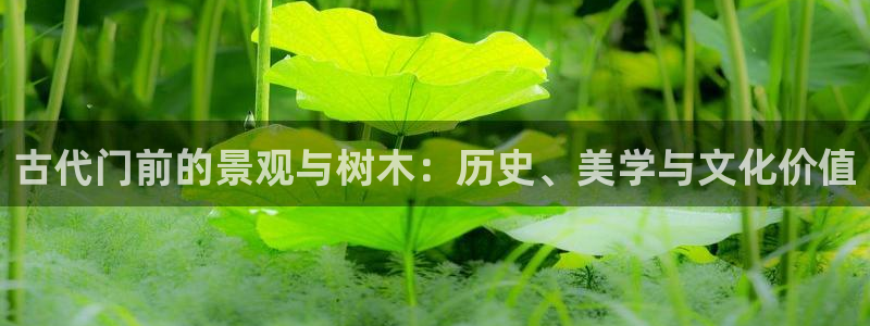 新宝gg娱乐主管q42873