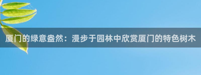 新宝GG无法充值