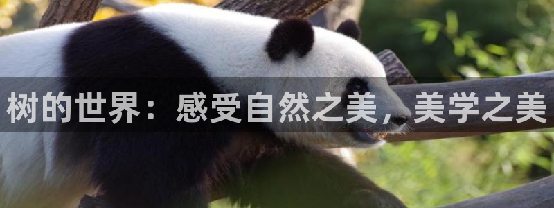 新宝gg娱乐客户端下载