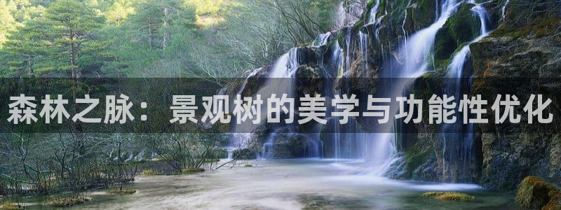 下载新宝gg怎么下载