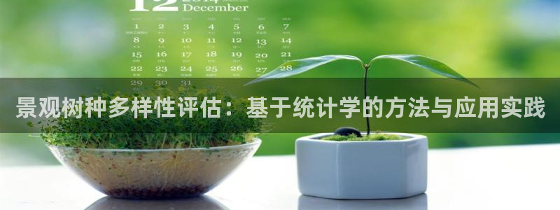 新宝gg怎么开户