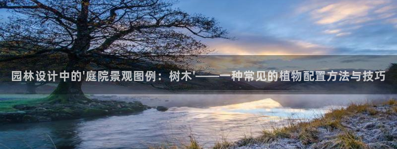 新宝gg联系：园林设计中的\'庭院景观图例：树木\'——一种常见的植物配置方法与技巧