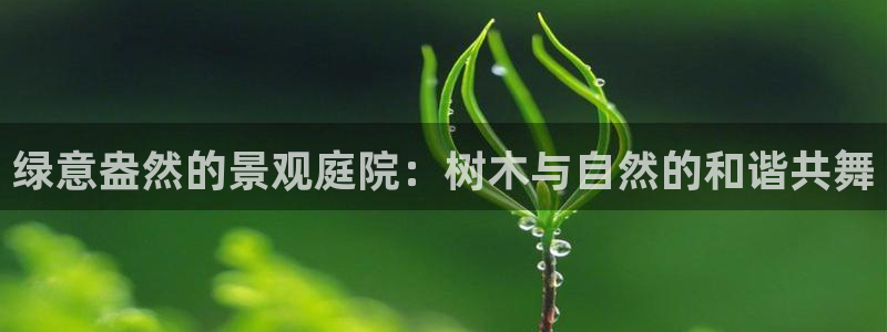 新宝GG无法充值