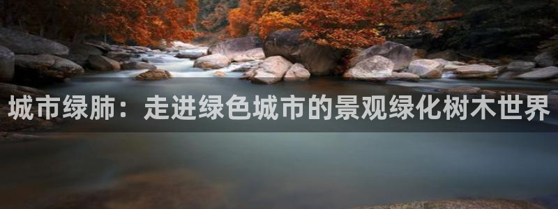 新宝GG无法充值