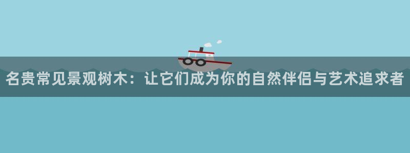 新宝gg手机助手