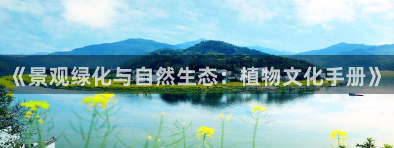 新宝gg主管花木兰