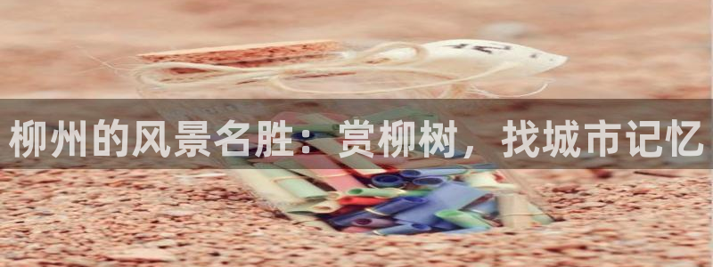 新宝gg — 创造!