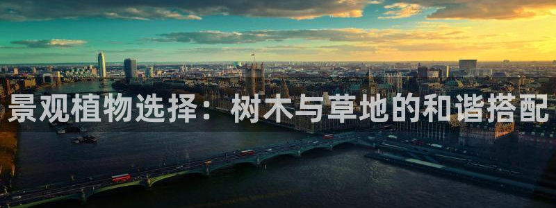 新宝gg首页平台