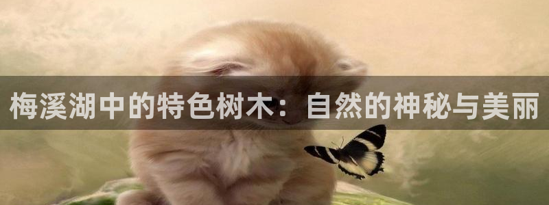 新宝6娱乐新宝gg