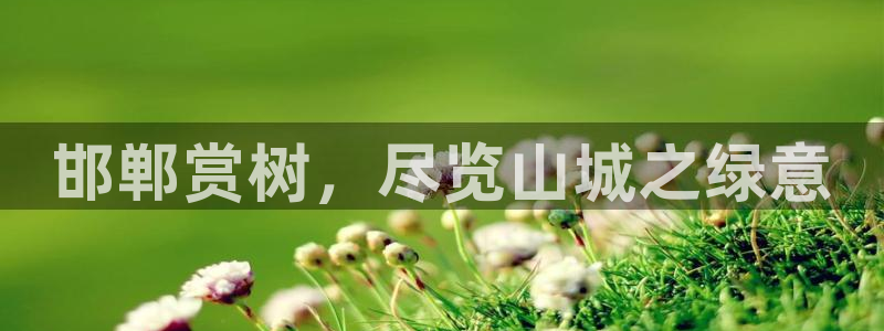 新宝gg平台开户