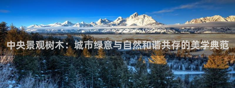 新宝gg平台反水