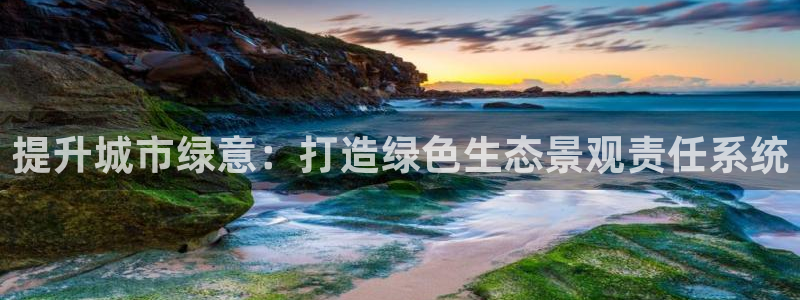 新宝gg   创造奇迹