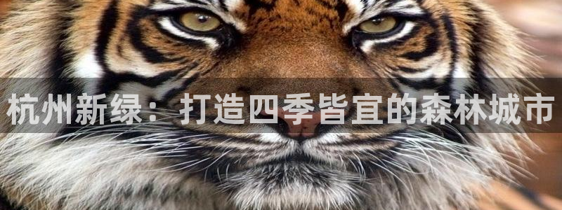 j新宝GG：杭州新绿：打造四季皆宜的森林城市