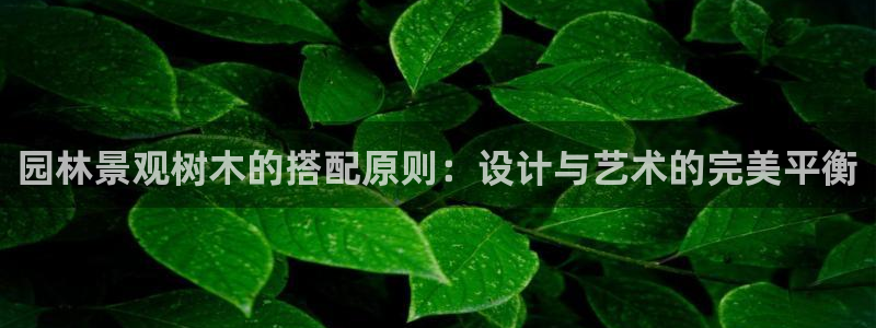 新宝gg娱乐主管q42873