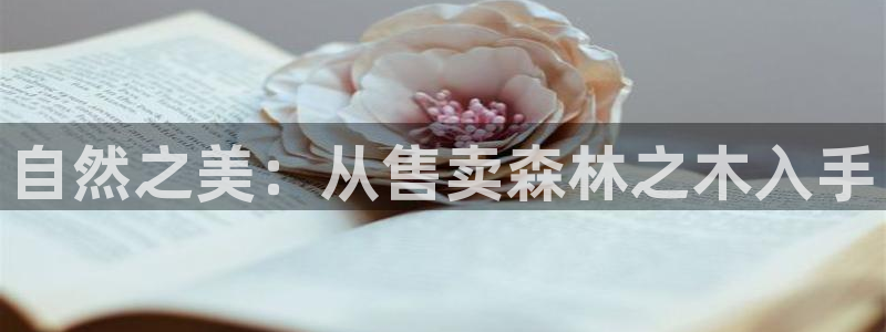 新宝gg 平台怎么样