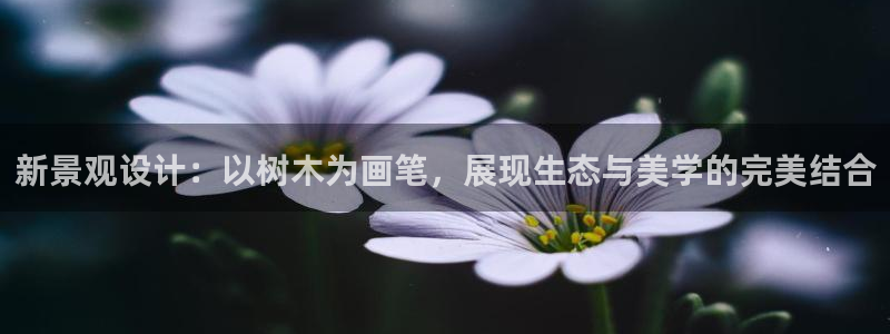 新宝GG主管41333