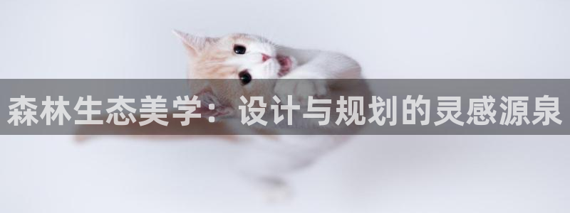 109新宝gg