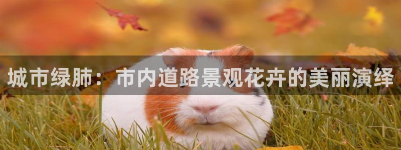 下载新宝gg怎么下载